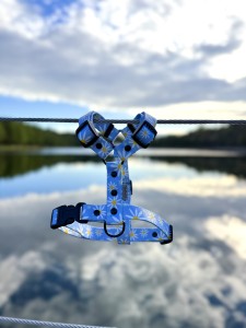 IMG_4977.jpeg