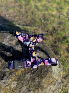 IMG_5047.jpeg